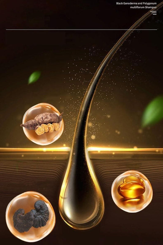 Gingerraâ˘ď¸Ginger Extract Anti-Hairfall Shampoo (Pack of 3)